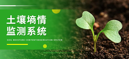 土壤墑情監(jiān)測系統(tǒng)