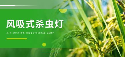 風(fēng)吸式殺蟲燈