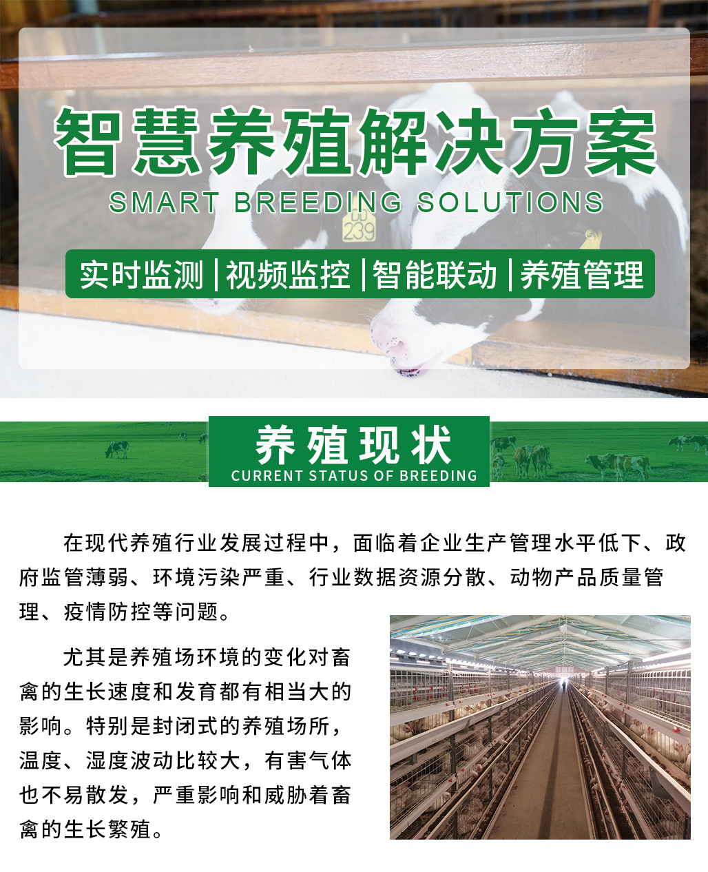 智慧養(yǎng)殖_01.jpg