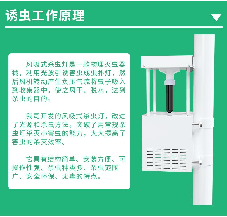 風吸式殺蟲燈_03.jpg